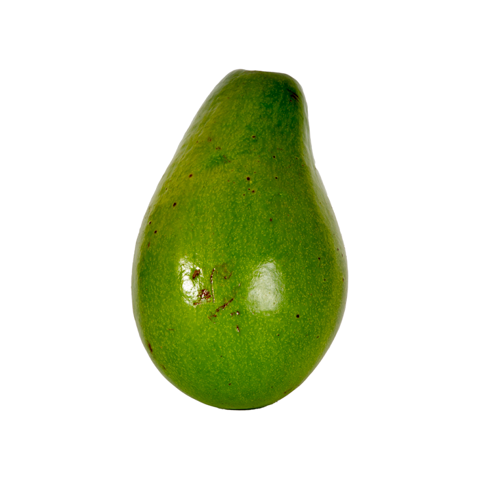 AGUACATE UNIDAD